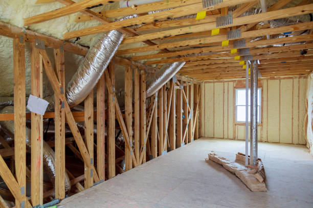 Best Insulation Maintenance and Repair in Pharr, TX